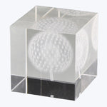 Dandelion Glass Hologram Default Title