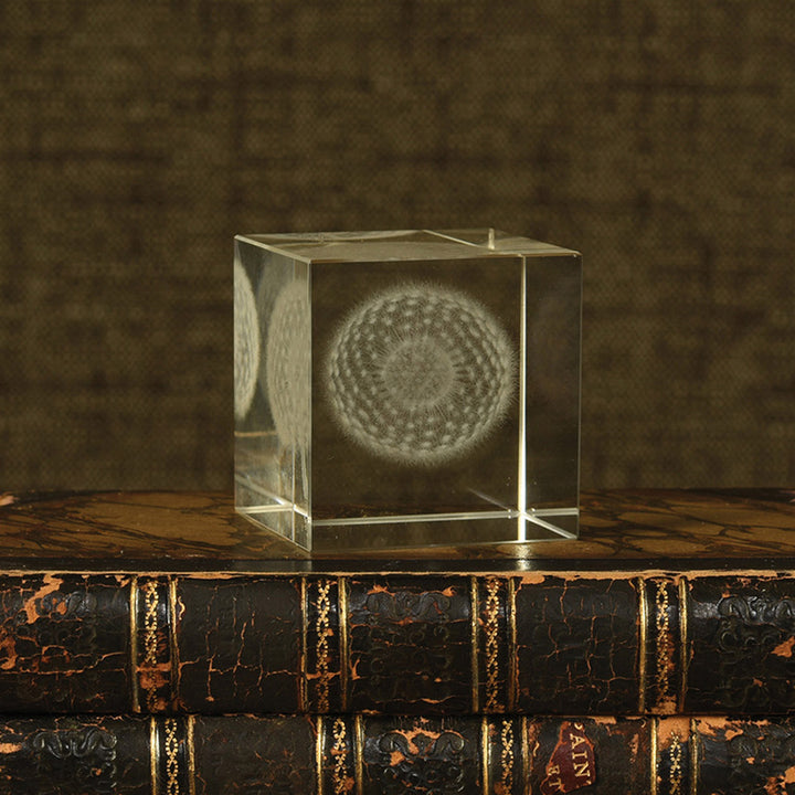 Dandelion Glass Hologram Default Title