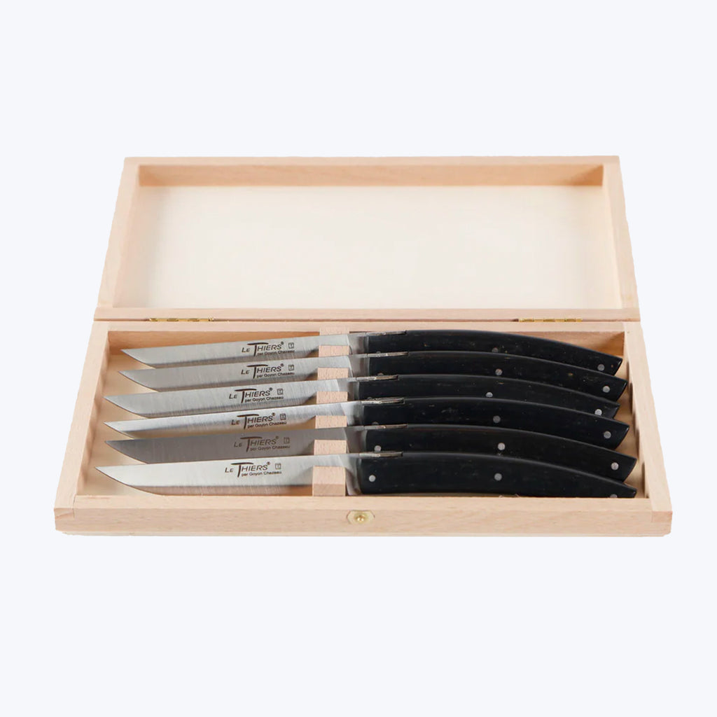 Brasseries Paperstone Steak Knives, Set of 6