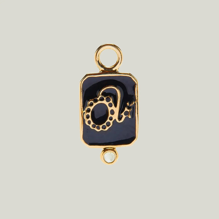 Fine Zodiac Charm Leo