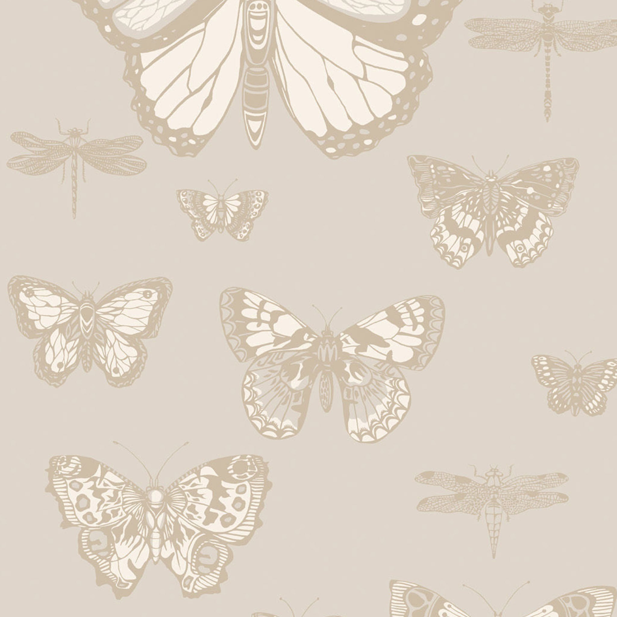 Butterflies & Dragonflies Wallpaper, 11 yard roll Grey