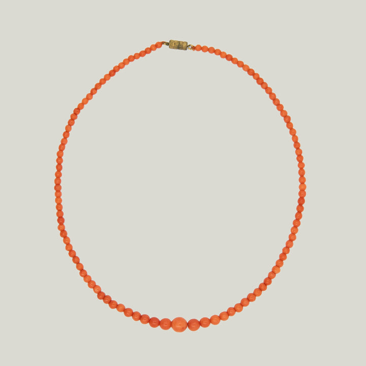 Italian Coral Beads