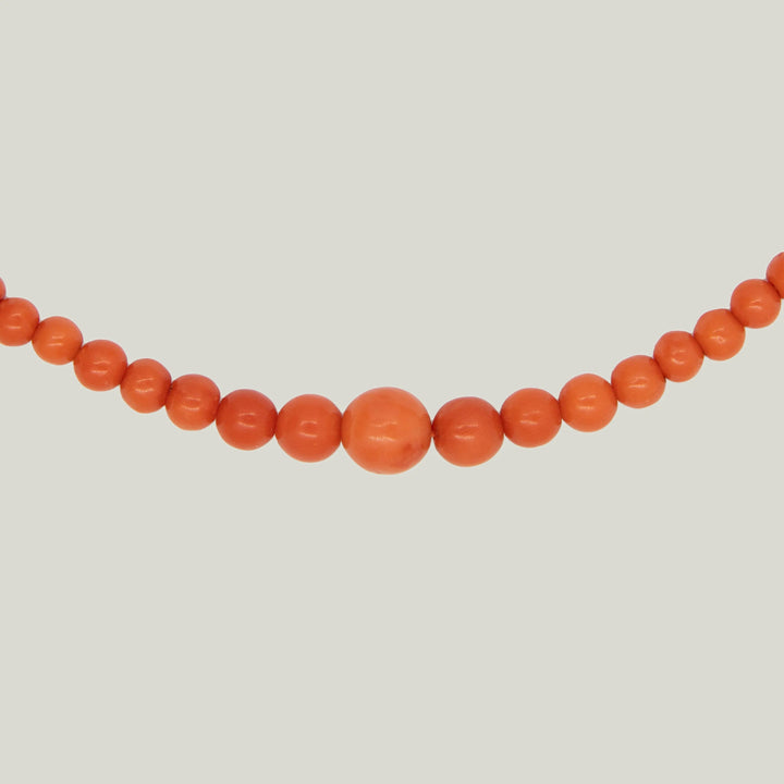 Italian Coral Beads
