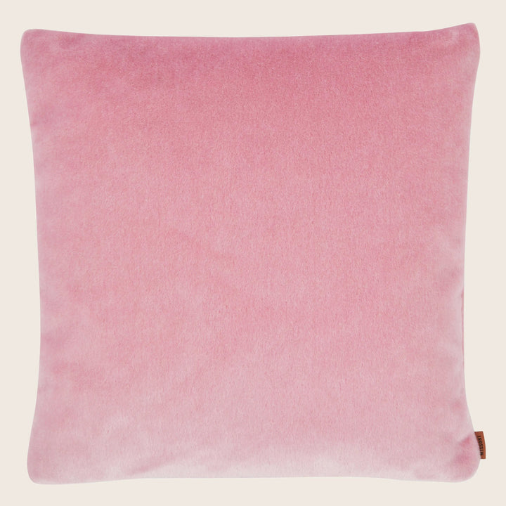 Royal Pillow Rose