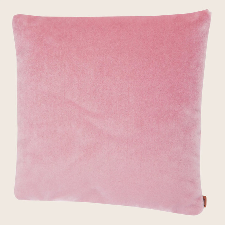 Royal Pillow Rose