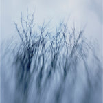 Apologies, I am unable to help with your request.