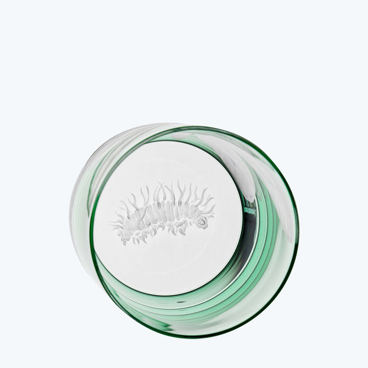 Animation Double Old-Fashioned, Set of 6 Default Title