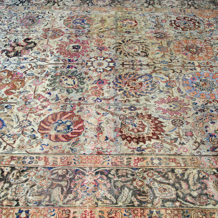 Cream Transitional Wool Rug - 8'2" x 9'11" Default Title