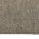 Zameen Patterned Transitional Wool Rug - 4' x 6'