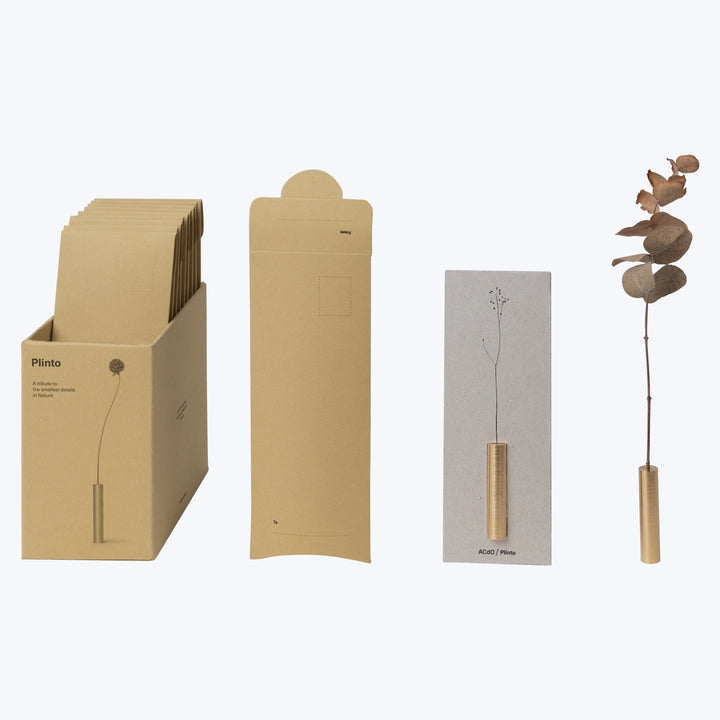 Plinto product design concept featuring botanical elements in packaging design.