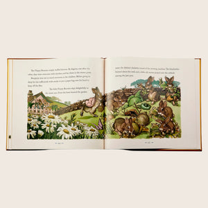 The Classic Tale of Peter Rabbit - hover