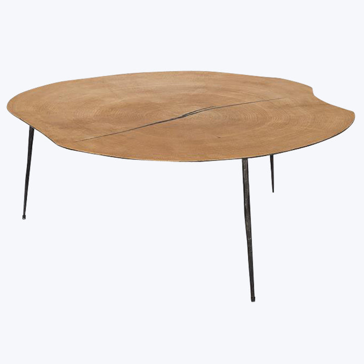 Modern coffee table with organic shape and sleek metal legs.