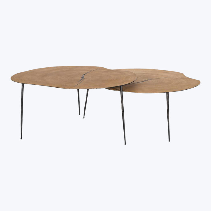 Modern two-tiered coffee table with organic design and industrial legs.