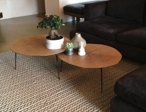 Modern coffee table with organic shape and sleek metal legs. - hover