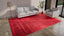 Red Samsara Wool Rug - 8'10" x 12'2"