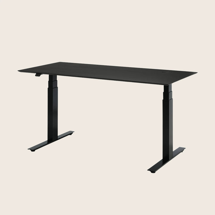 Modern height-adjustable standing desk with sleek black design for versatility.