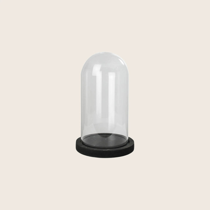 Clear glass dome on black base, perfect for displaying items.
