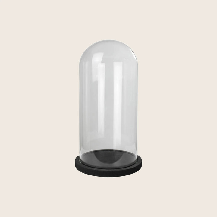 Clear glass cloche with black base on neutral background.
