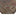 Herman Rug 8'8" x 12'
