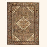 Malayer Rug 4'8" x 6'5"