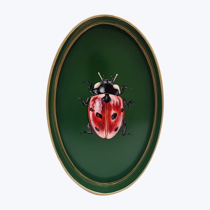 Realistic 3D ladybug artwork on gold-framed green background illusion.