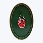 Realistic 3D ladybug artwork on gold-framed green background illusion.