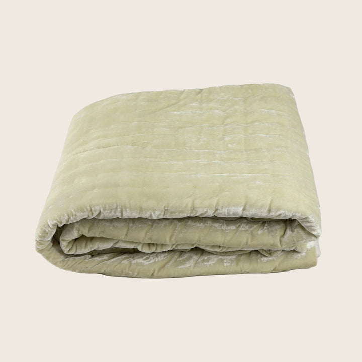 Luminous Velvet Throw