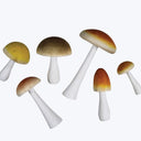 Assorted Colorful Mushrooms, Wood