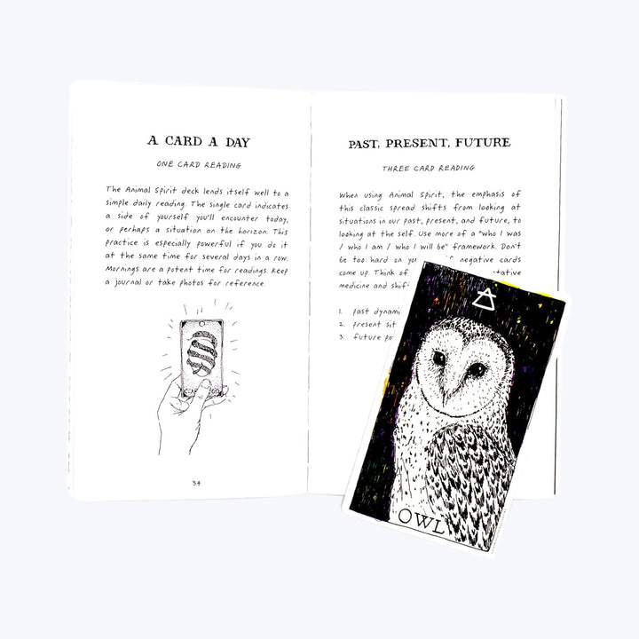 The Wild Unknown Animal Spirit Deck and Guidebook