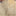 IVORY TRADITIONAL WOOL RUG - 4' 10" x 6' 7"