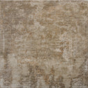 Brown Transitional Wool Silk Blend Rug - 9' x 12'7"