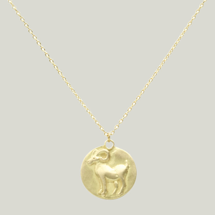 Zodiac Medal Necklace