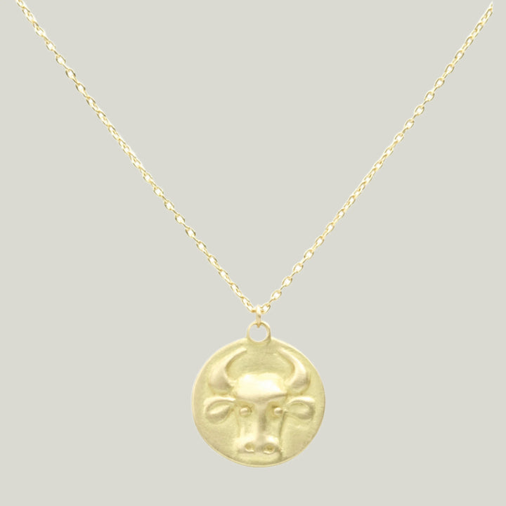 Zodiac Medal Necklace