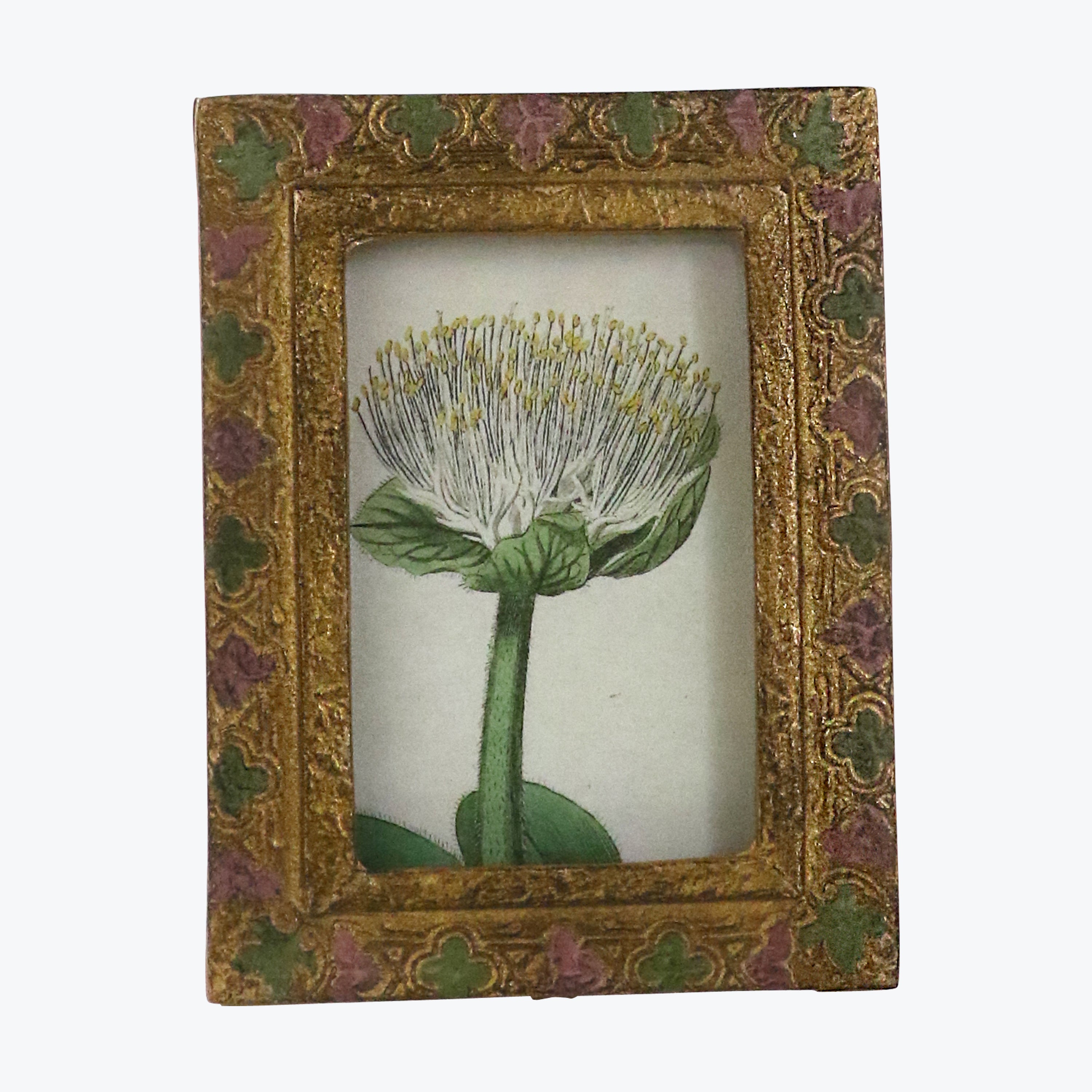 Small Florentine Frame- Cream