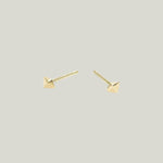 Tiny Double Pointed Studs