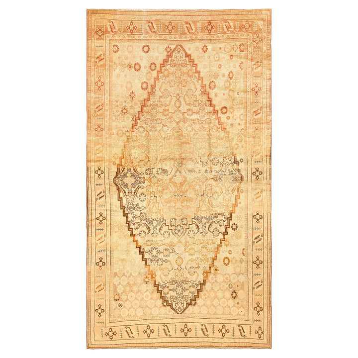 Brown Antique Traditional Khotan Rug - 7' x 12'7"
