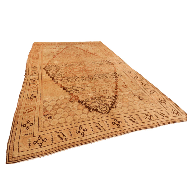 Brown Antique Traditional Khotan Rug - 7' x 12'7"