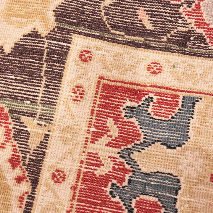 Red Vintage Traditional Indian Agra Rug - 7'9" x 10'