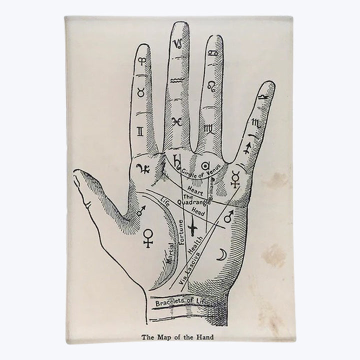 The Map of the Hand Mini Tray