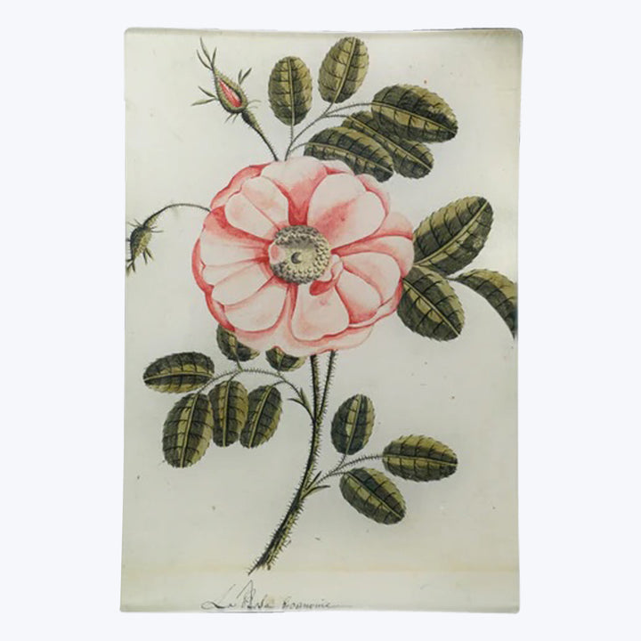 Painted Rose Rectangular Tray