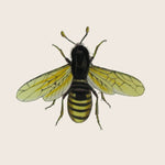 Bee 3 Round Plate