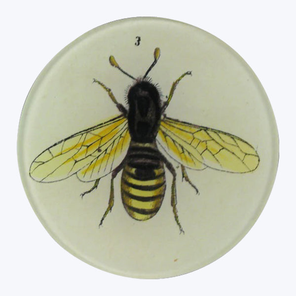 Bee 3 Round Plate