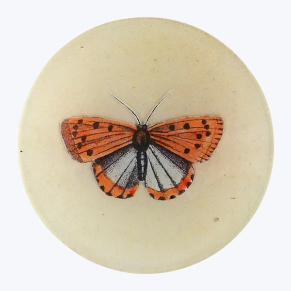 Coral Butterfly Round Plate