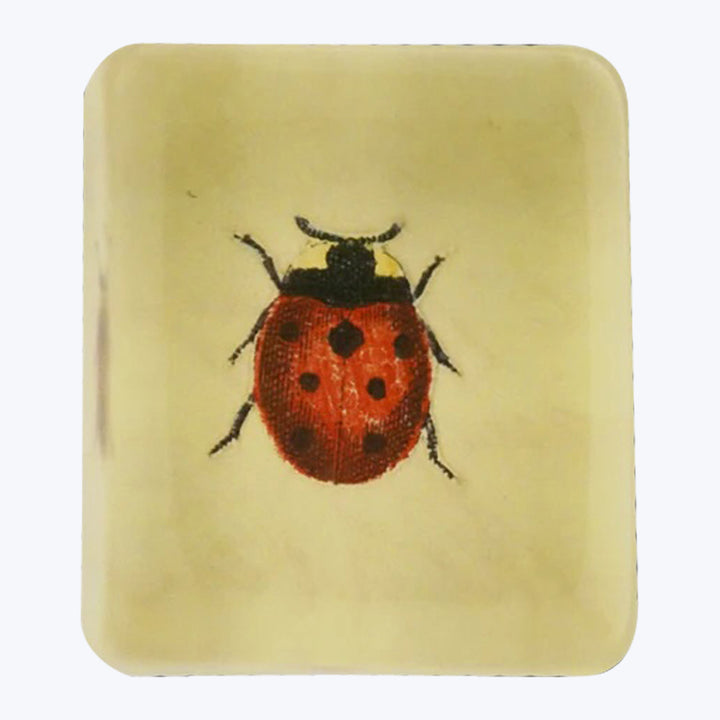 Lucky Ladybug Rectangular Charm