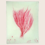 PinkSeaweed Rectangular Tray
