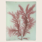 Burgundy Seaweed Rectangular Tray