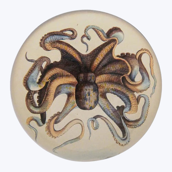 Octopus Dome Paperweight