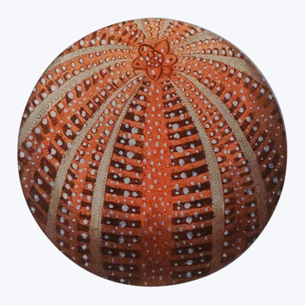 Red Sea Urchin Round Plate