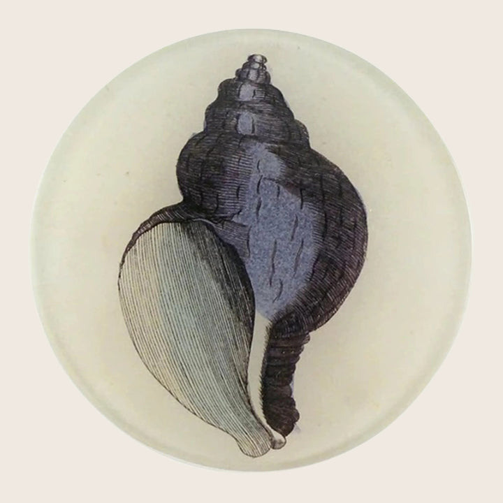 Purple Shell Round Plate