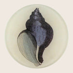Purple Shell Round Plate